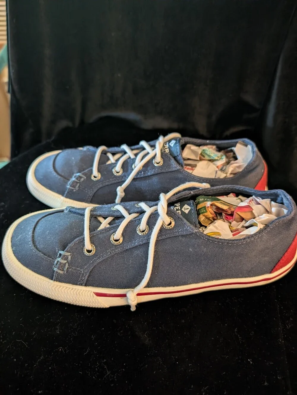 Womens  Navy Canvas Lace-Up Sneakers
